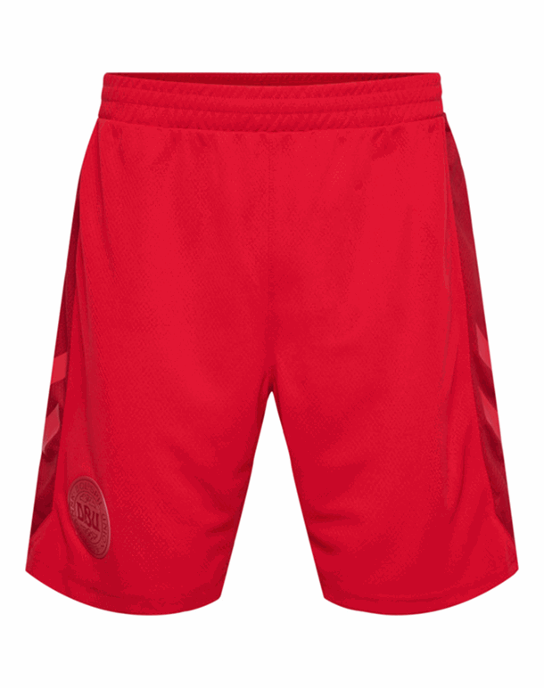 DBU Home Fodboldshorts Rød Herre