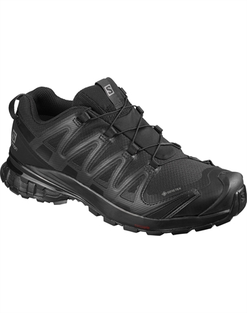 Salomon XA Pro 3D v8 GTX Dame 