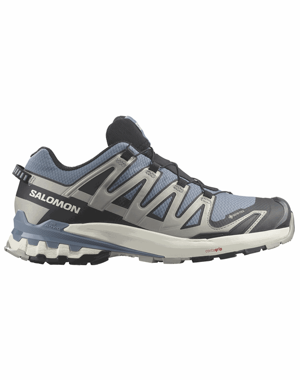 Salomon XA Pro 3D V9 GTX Vandresko Flint Stone/Black/Ghost Gray Herre